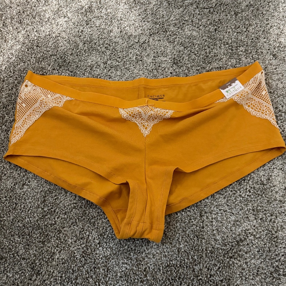 3 pairs of Lane Bryant boy short underwear - 22/24
